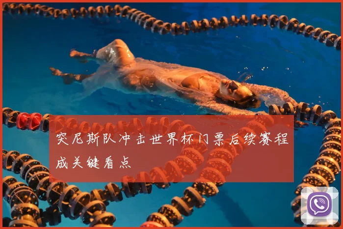 突尼斯队冲击世界杯门票后续赛程成关键看点