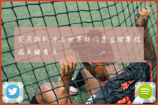 突尼斯队冲击世界杯门票后续赛程成关键看点